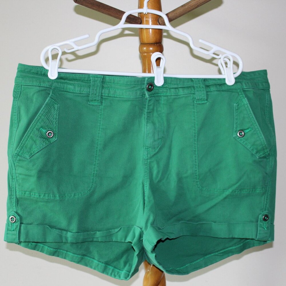 Torrid Denim Shorts